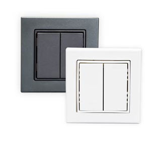 European Style Double Rocker Switch